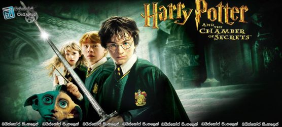 harry potter and the chamber of secrets nl subs srt